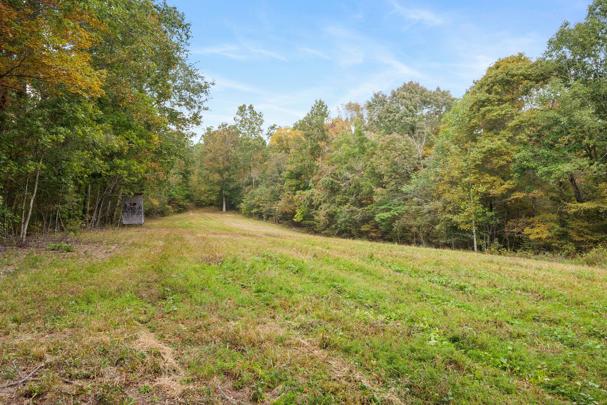 0 Union Road Dickson, TN 37055 - Photo 22 of 40 Gallery Image 22