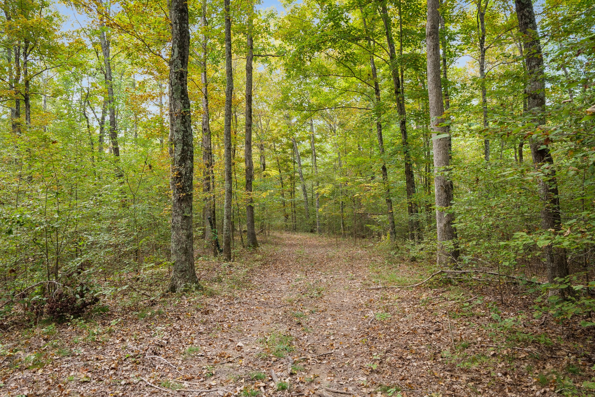 0 Union Road Dickson, TN 37055 - Photo 23 of 40 Gallery Image 23