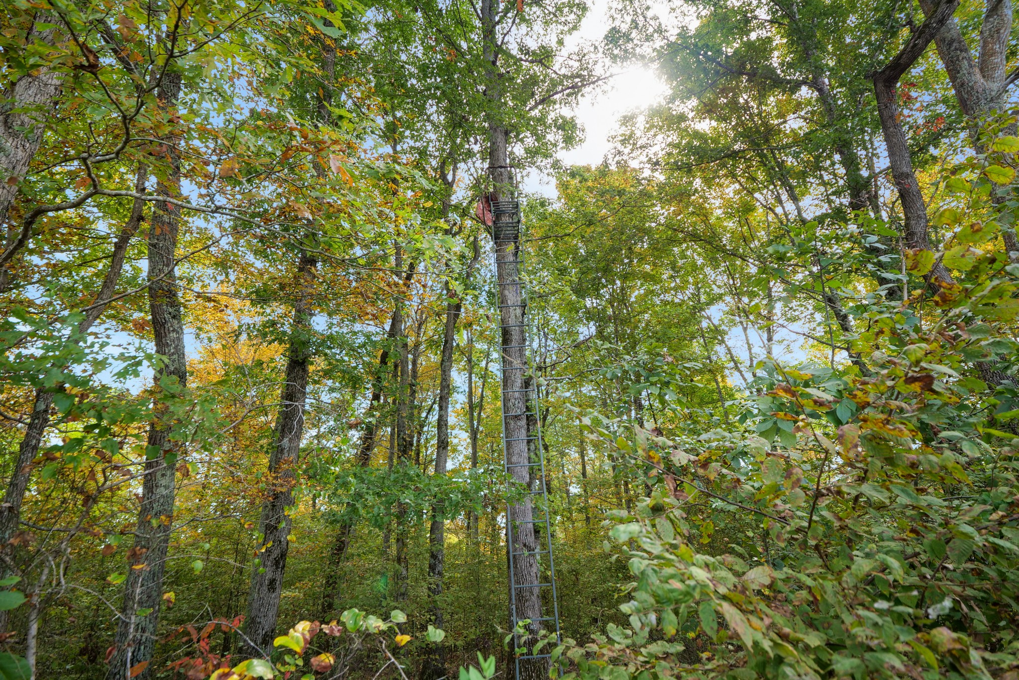 0 Union Road Dickson, TN 37055 - Photo 26 of 40 Gallery Image 26