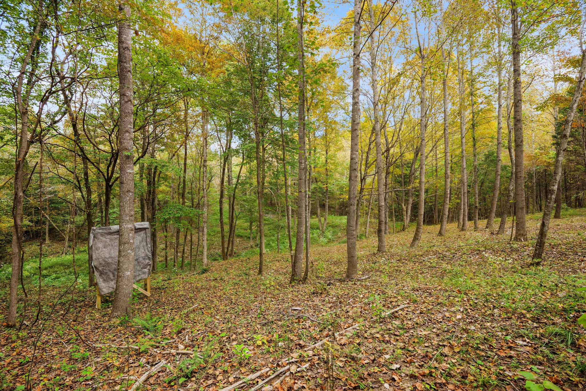 0 Union Road Dickson, TN 37055 - Photo 27 of 40 Gallery Image 27