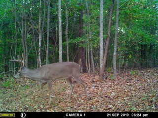 0 Union Road Dickson, TN 37055 - Photo 37 of 40 Gallery Image 37