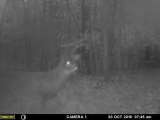 0 Union Road Dickson, TN 37055 - Photo 38 of 40 Gallery Image 38