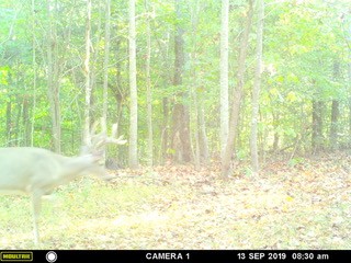 0 Union Road Dickson, TN 37055 - Photo 39 of 40 Gallery Image 39