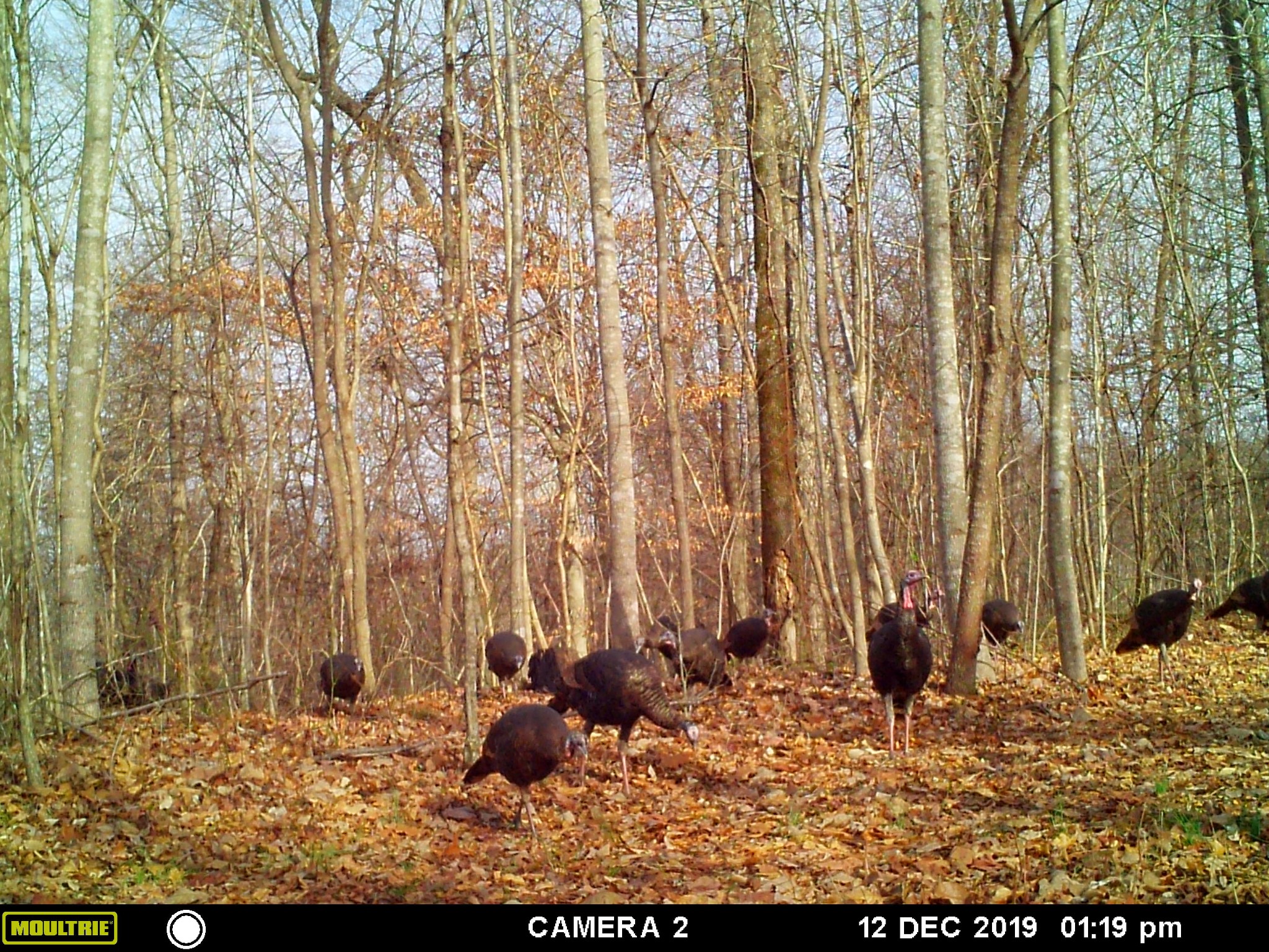 0 Union Road Dickson, TN 37055 - Photo 40 of 40 Gallery Image 40
