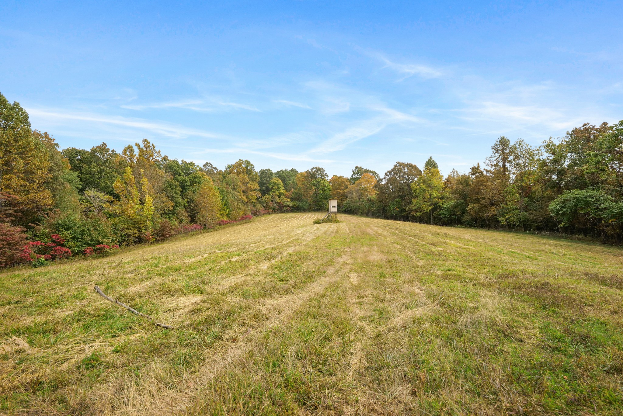 0 Union Road Dickson, TN 37055 - Photo 8 of 40 Gallery Image 8