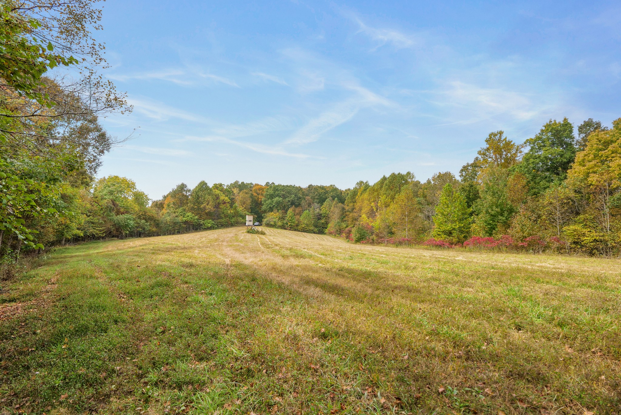 0 Union Road Dickson, TN 37055 - Photo 10 of 40 Gallery Image 10