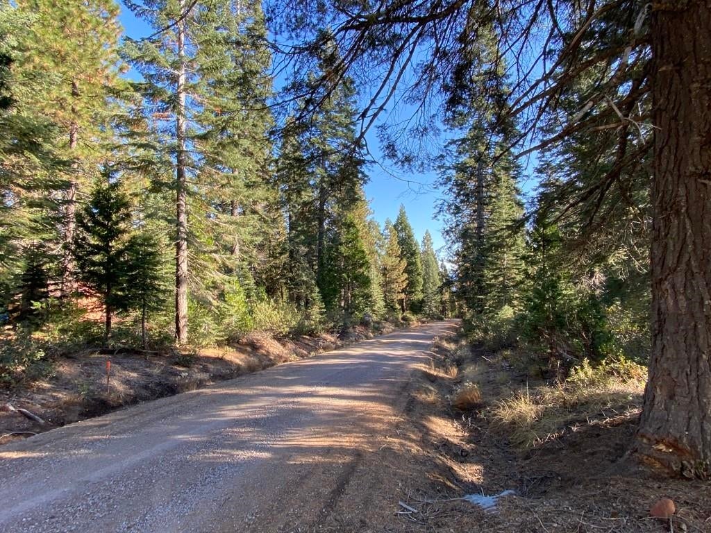 3-e-41 Red Fir Road McCloud, CA 96057 - Photo 36 of 38 Gallery Image 36