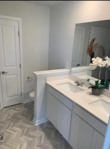 a bathroom with a sink and a toilet