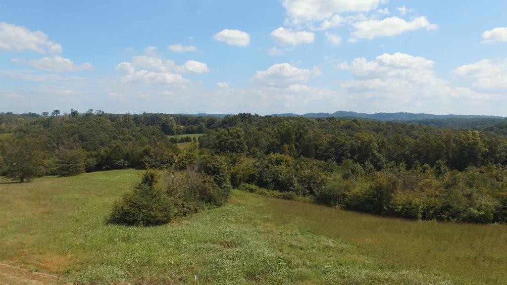 0 Lot Road Sweetwater, TN 37874 - Photo 5 of 13 Gallery Image 5