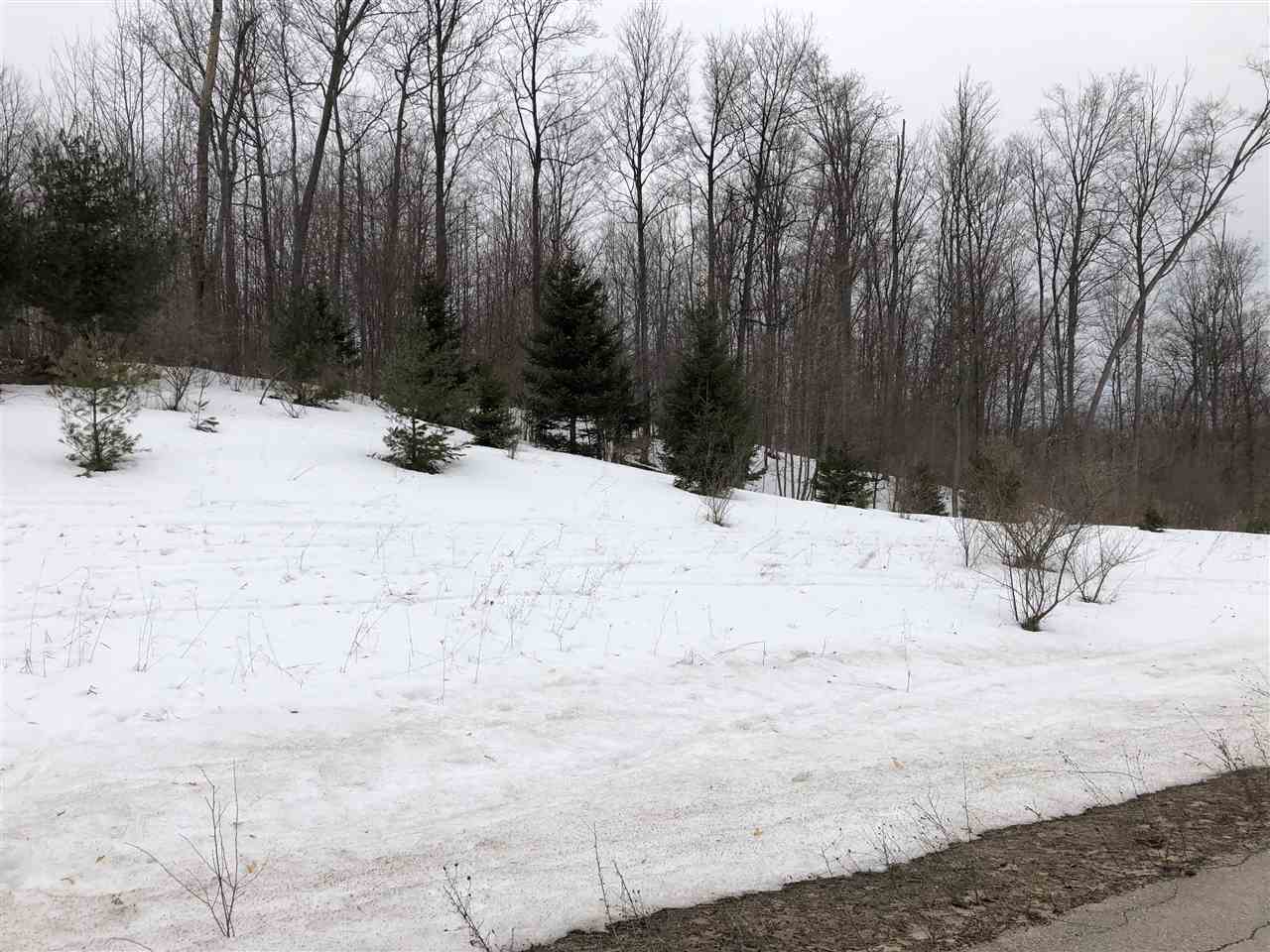 6386 Florey's Ranch Road Grawn, MI 49637 - Photo 4 of 4 1872915-3.JPG