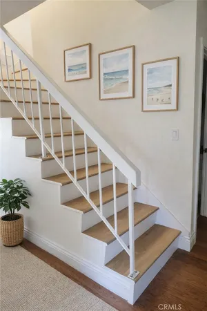 a view of a backyard with plants