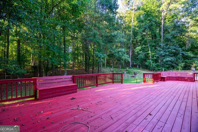 a view of a forest with trees in front of it