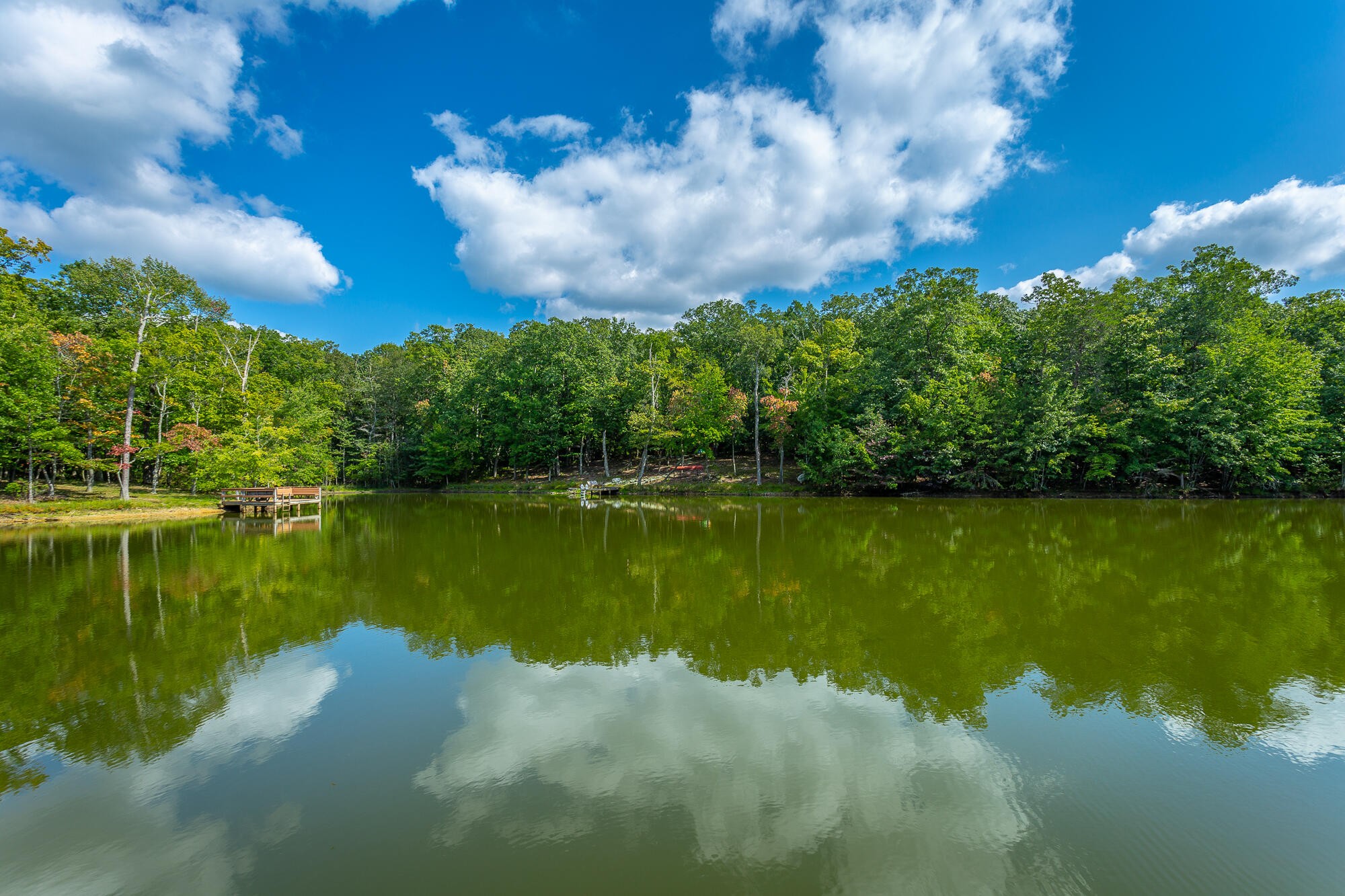 6 Highlands Forest Road Cloudland, GA 30731 - Photo 54 of 100 Gallery Image 54