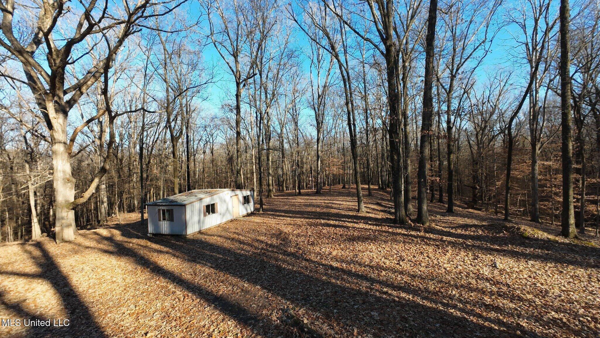 6650 Scenic Hollow Road Walls, MS 38680 - Photo 46 of 49 Portable building with electricity