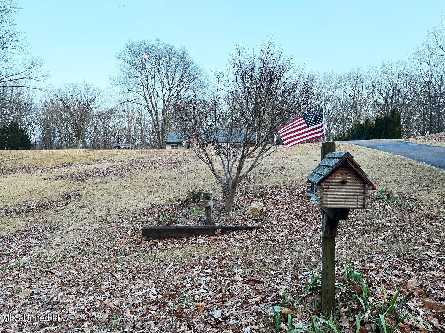 6650 Scenic Hollow Road Walls, MS 38680 - Photo 49 of 49 Mailbox