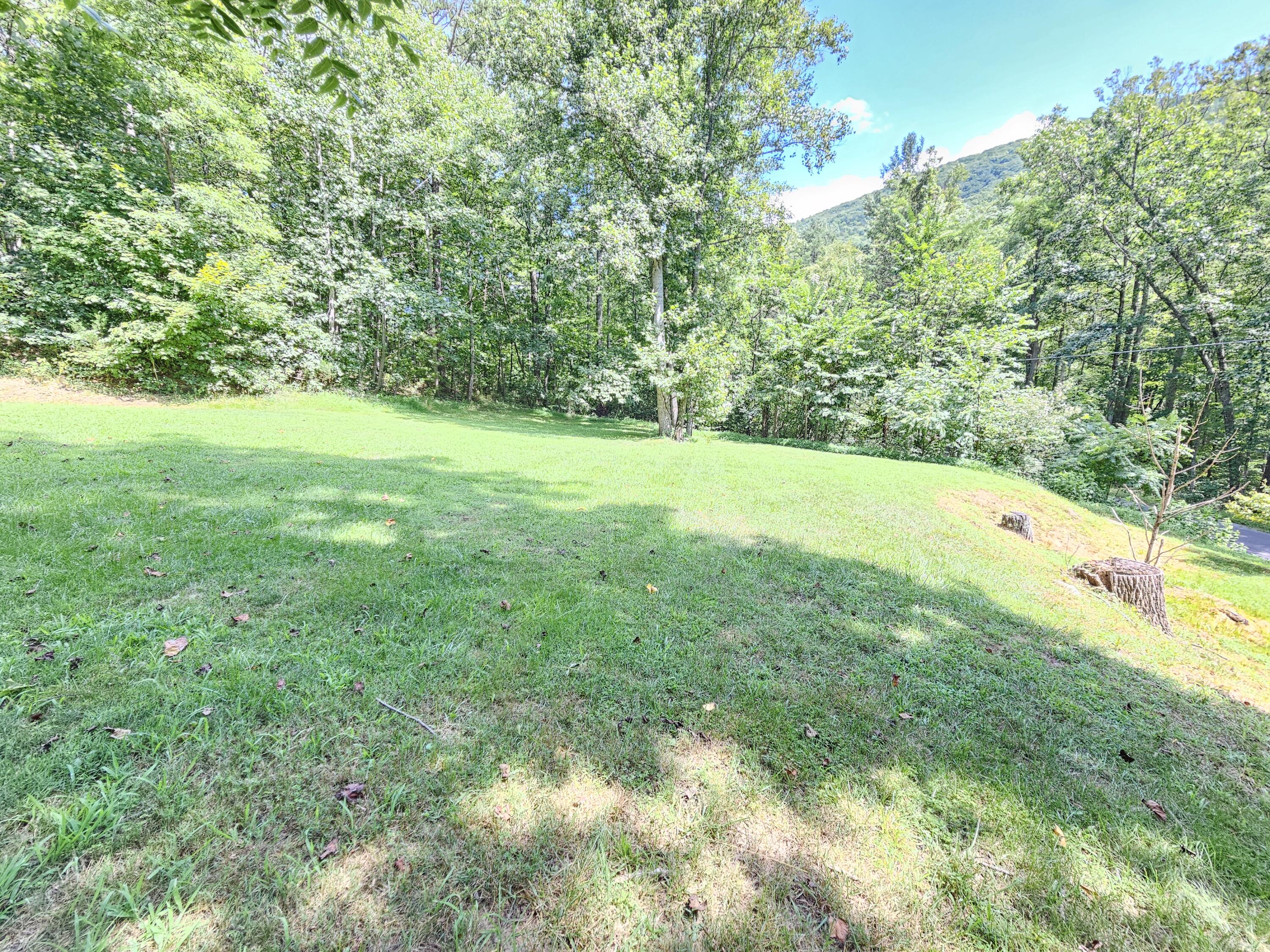 5283 Peaceful Valley Road New Castle, VA 24127 - Photo 25 of 29 Side Yard space
