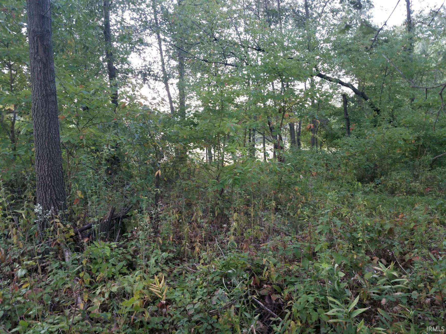 181 West Olson Road Rochester, IN 46975 - Photo 3 of 10