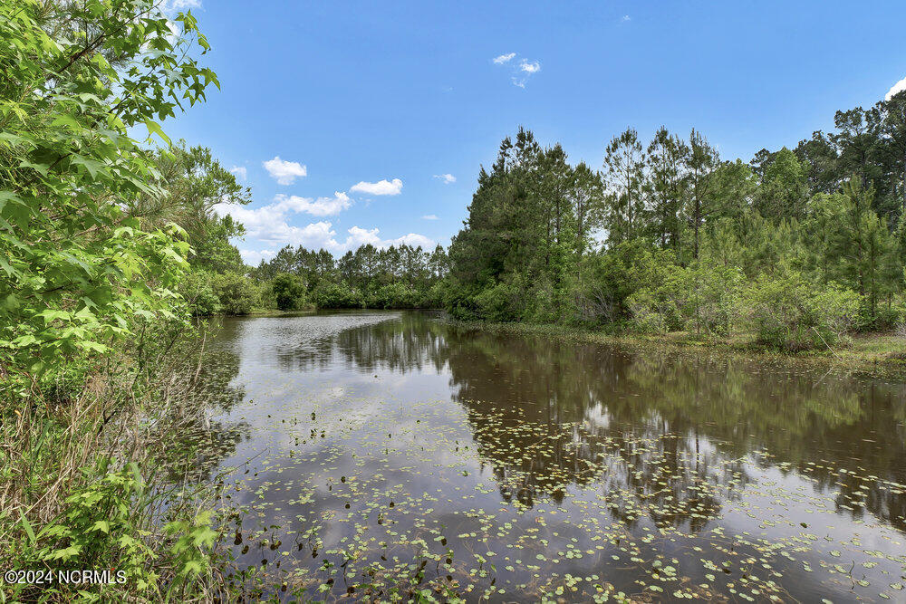 171 Preston Wells Road Holly Ridge, NC 28445 - Photo 29 of 61 029_p6500795