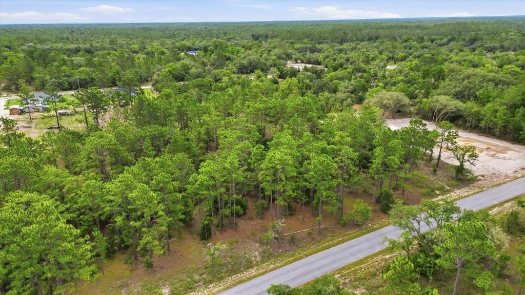 0 Southwest Sands Point Avenue Dunnellon, FL 34431 - Photo 3 of 6