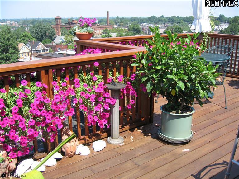 2327 Edgehill Road Cleveland, OH 44106 - Photo 10 of 15 Gallery Image 10