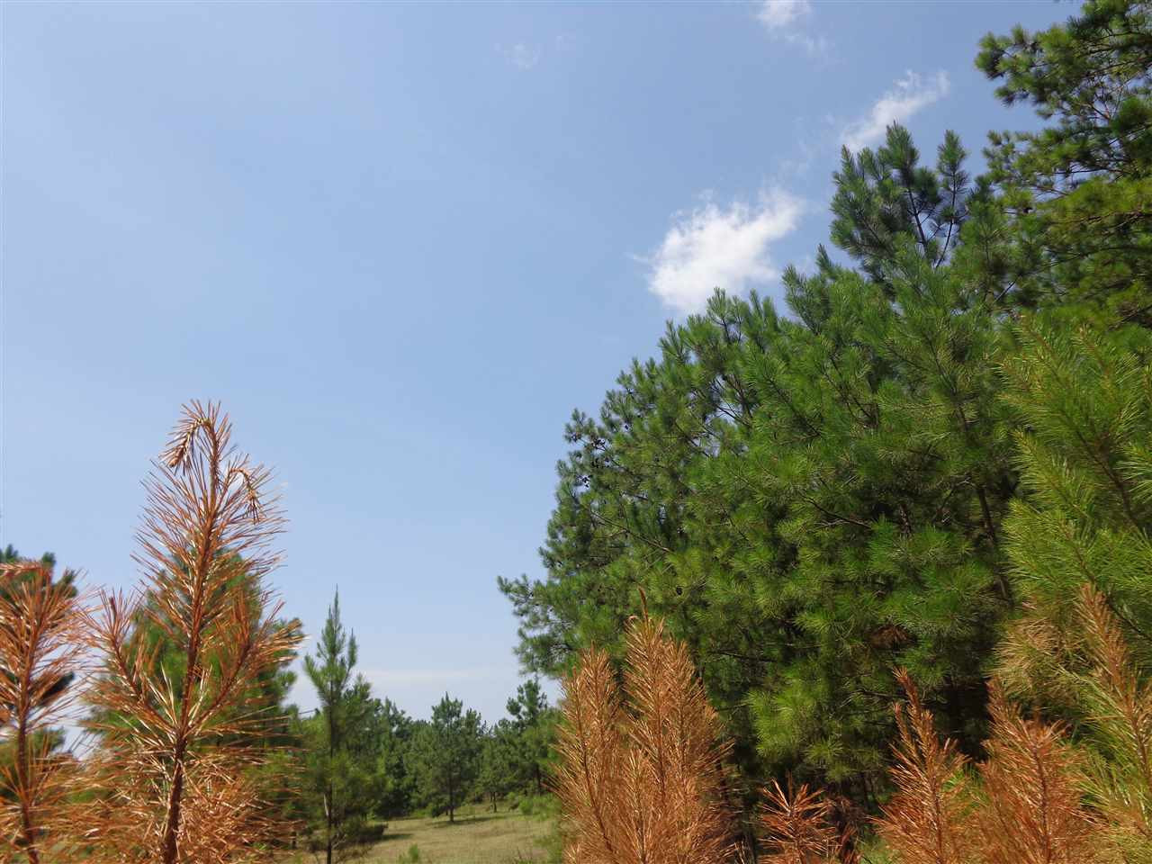 0 Harmony Road Crystal Springs, MS 39059 - Photo 4 of 5 Photo 4