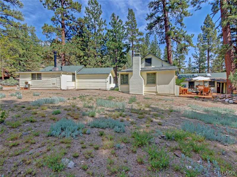 1004 Canyon Road Fawnskin, CA 92333 - Photo 24 of 25 a view of a yard with plants and large trees