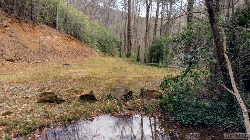 138 Stockton Road Franklin, NC 28734 - Photo 11 of 12 Gallery Image 11
