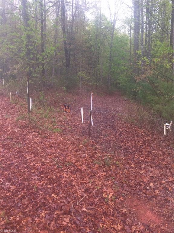 0 Waddell Road Roaring River, NC 28669 - Photo 1 of 6 Gallery Image 1
