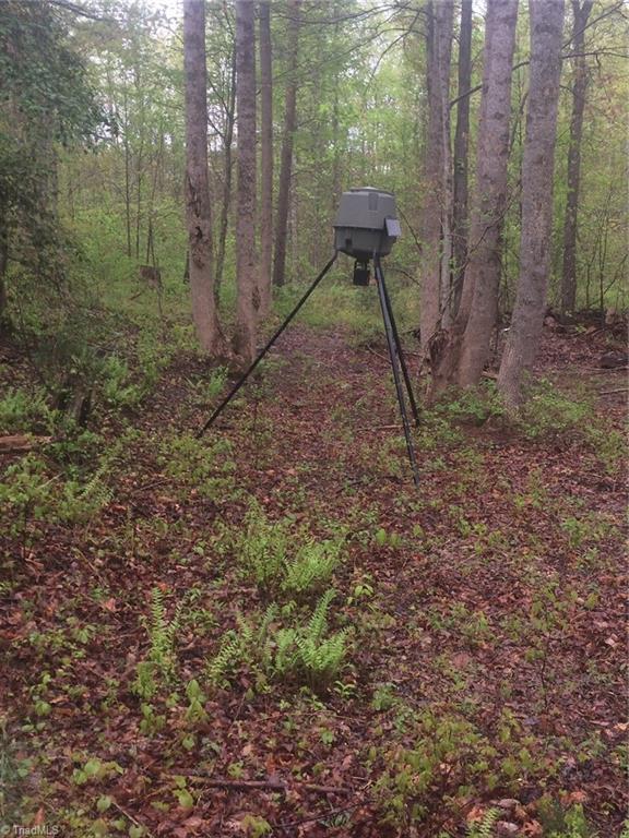 0 Waddell Road Roaring River, NC 28669 - Photo 5 of 6 Gallery Image 5