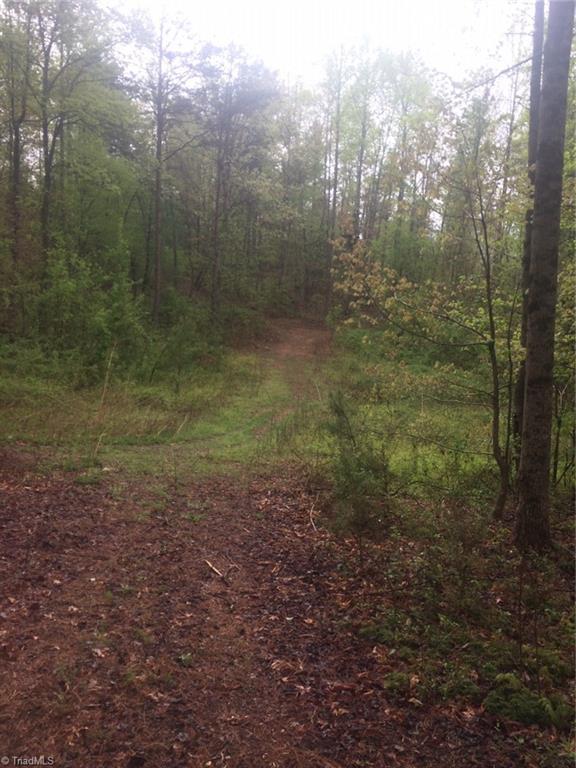 0 Waddell Road Roaring River, NC 28669 - Photo 6 of 6 Gallery Image 6
