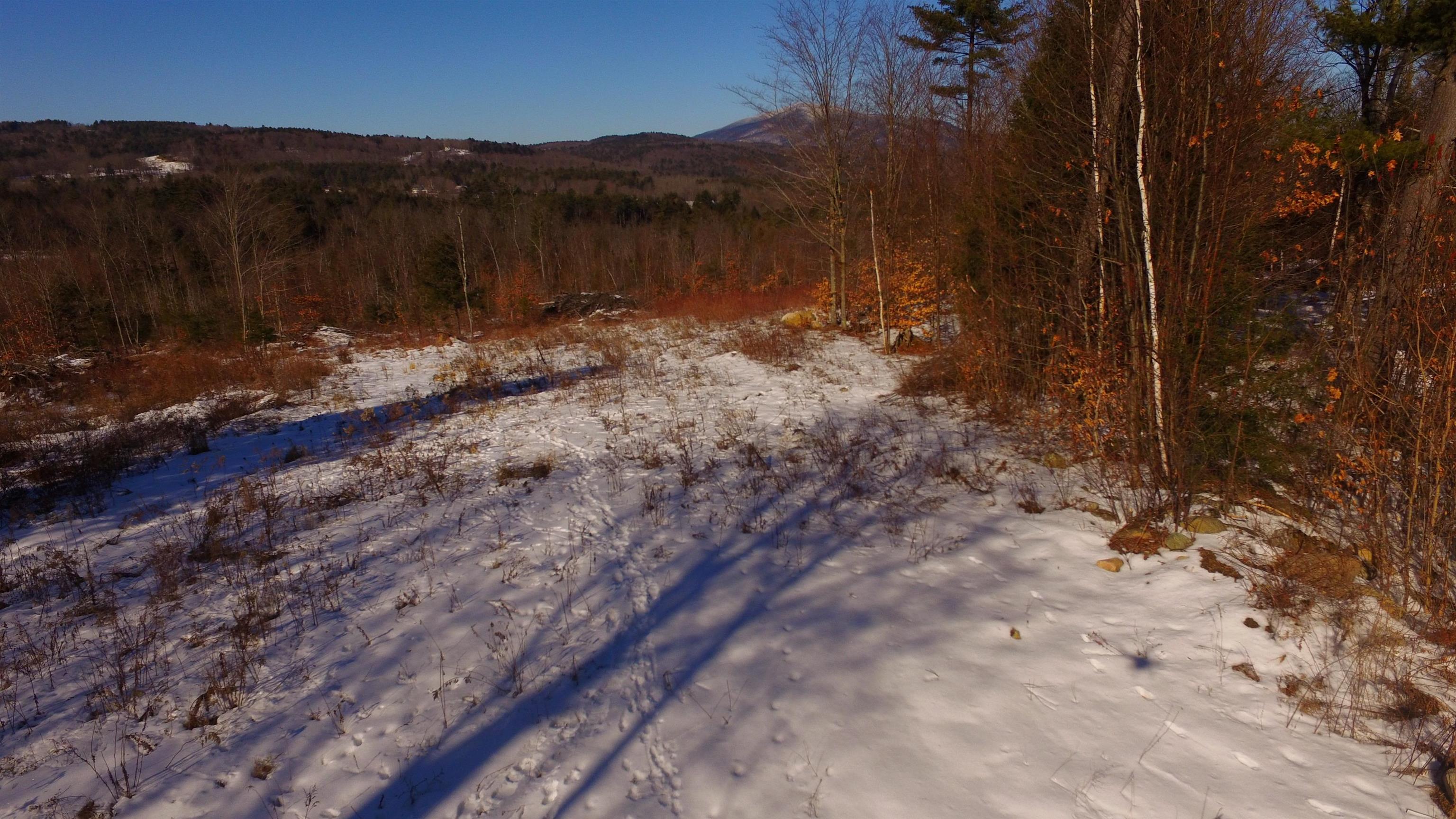 Lot 6 Old Bow Road Springfield, VT 05156 - Photo 11 of 14