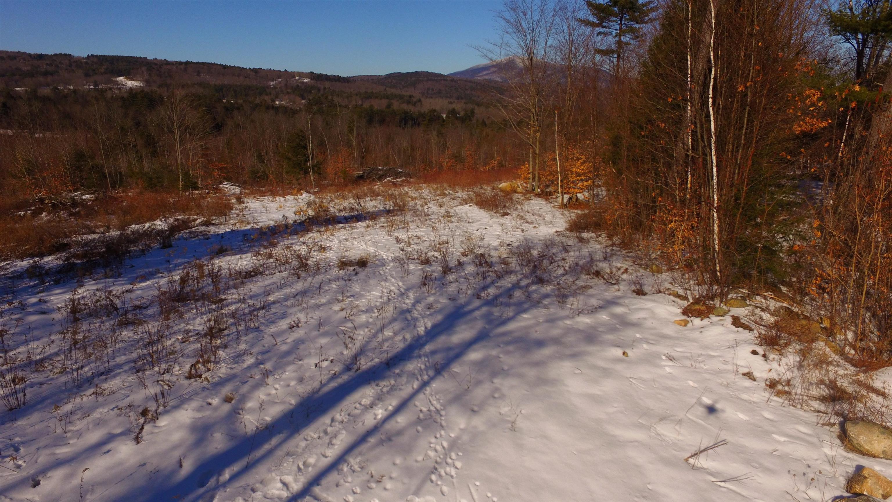 Lot 6 Old Bow Road Springfield, VT 05156 - Photo 9 of 14