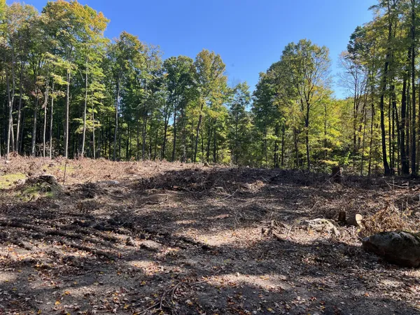 $280,000 | N3653 Grudgeville Road, White Lake, WI 54491