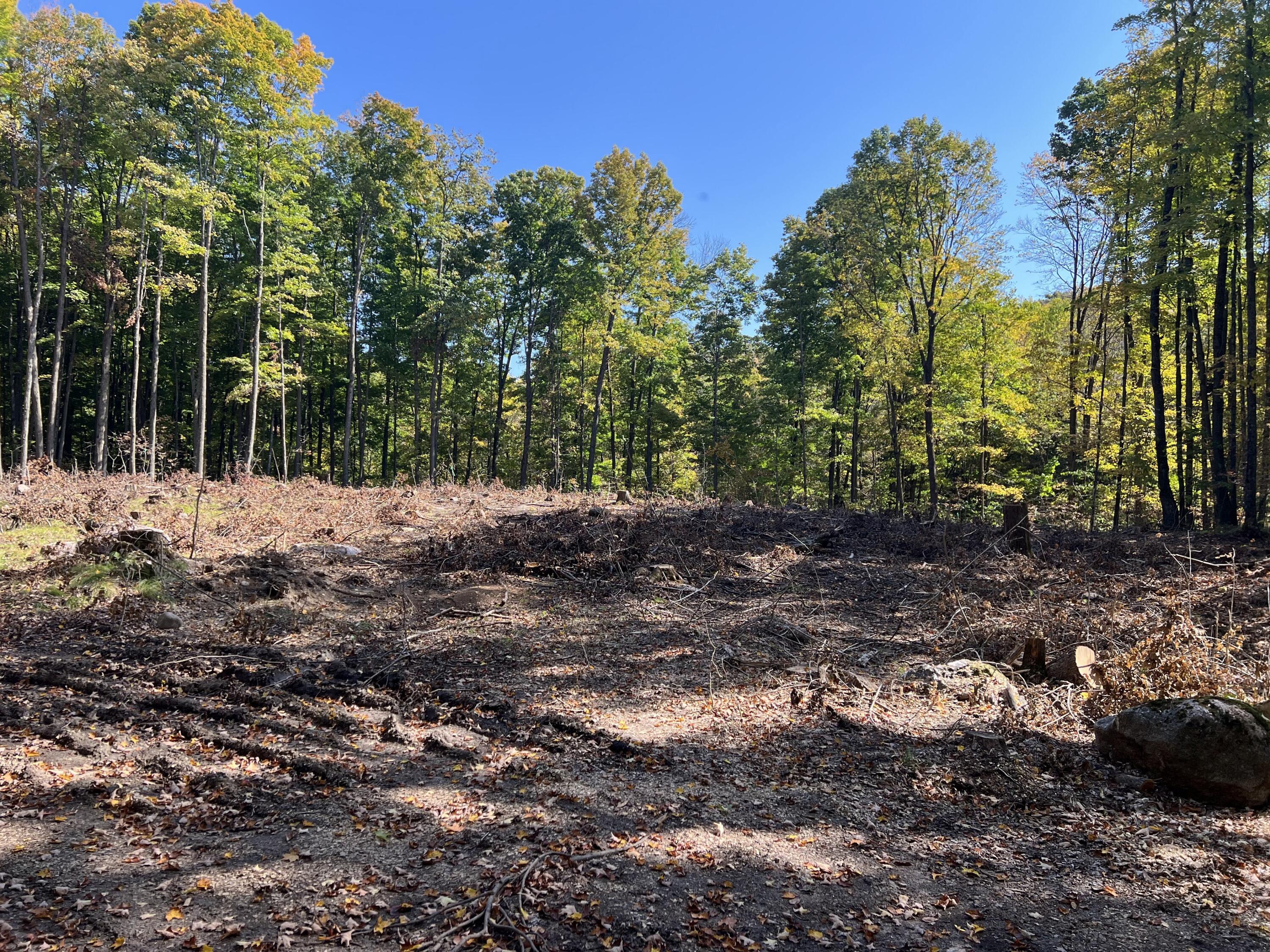 N3653 Grudgeville Road White Lake, WI 54491 - Photo 1 of 8 IMG_2833