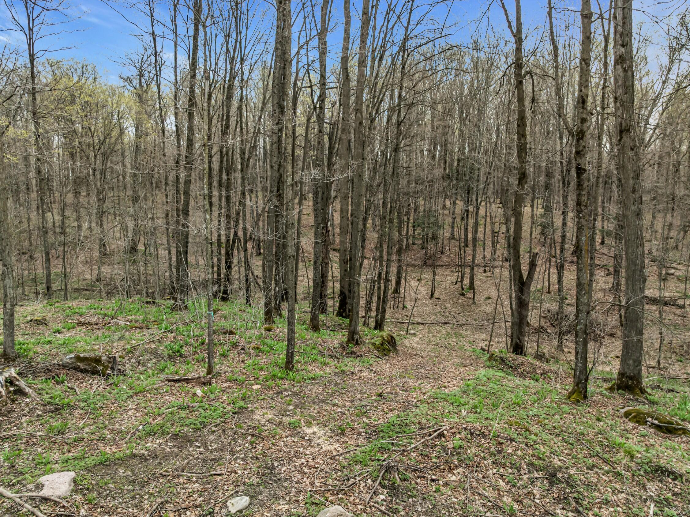 N3653 Grudgeville Road White Lake, WI 54491 - Photo 12 of 28 Photo (20)
