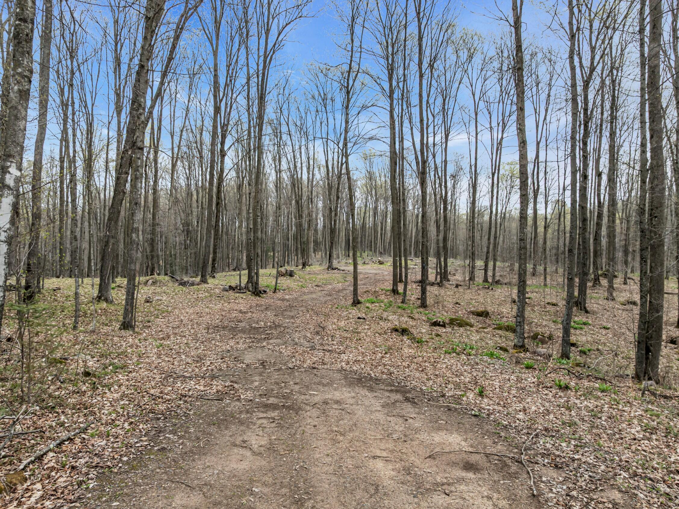 N3653 Grudgeville Road White Lake, WI 54491 - Photo 15 of 28 Photo (17)