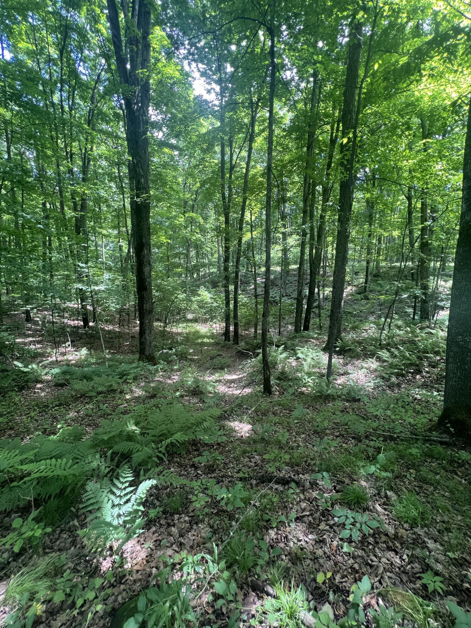 N3653 Grudgeville Road White Lake, WI 54491 - Photo 4 of 8 IMG_2171