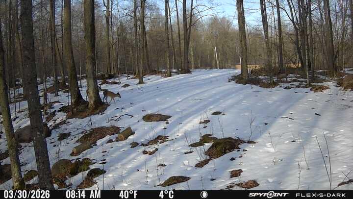 N3653 Grudgeville Road White Lake, WI 54491 - Photo 6 of 8 IMG_4629