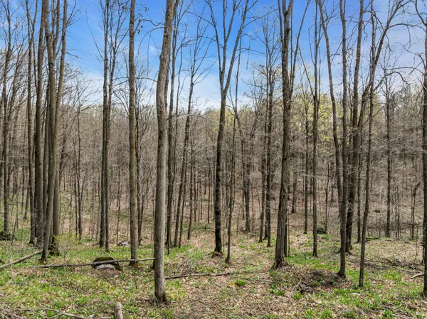 $280,000 | N3653 Grudgeville Road, White Lake, WI 54491