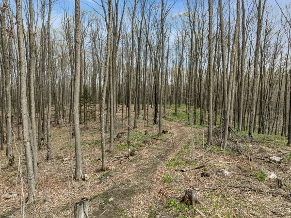 $280,000 | N3653 Grudgeville Road, White Lake, WI 54491
