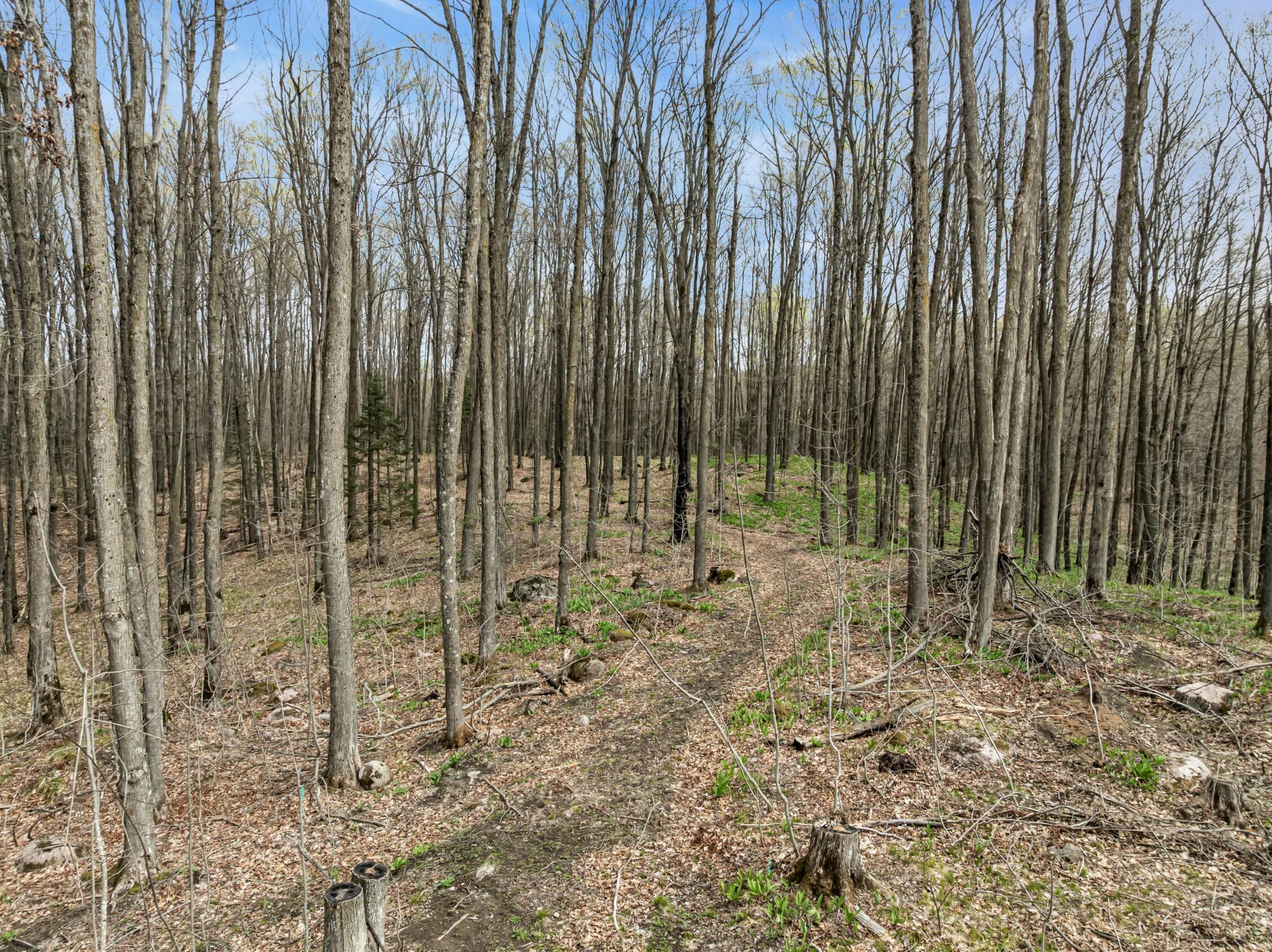 N3653 Grudgeville Road White Lake, WI 54491 - Photo 7 of 28 Photo (23)