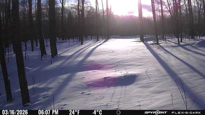 N3653 Grudgeville Road White Lake, WI 54491 - Photo 7 of 8 IMG_4630