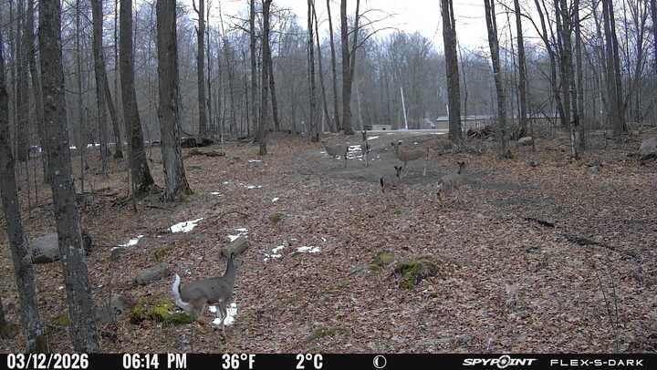 N3653 Grudgeville Road White Lake, WI 54491 - Photo 8 of 8 IMG_4628