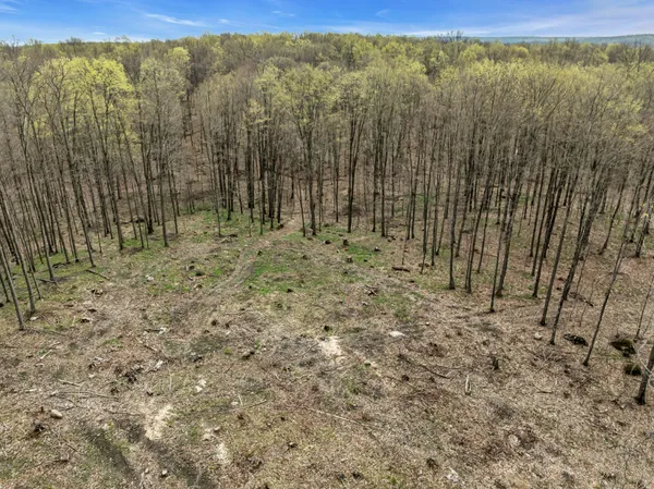 $280,000 | N3653 Grudgeville Road, White Lake, WI 54491