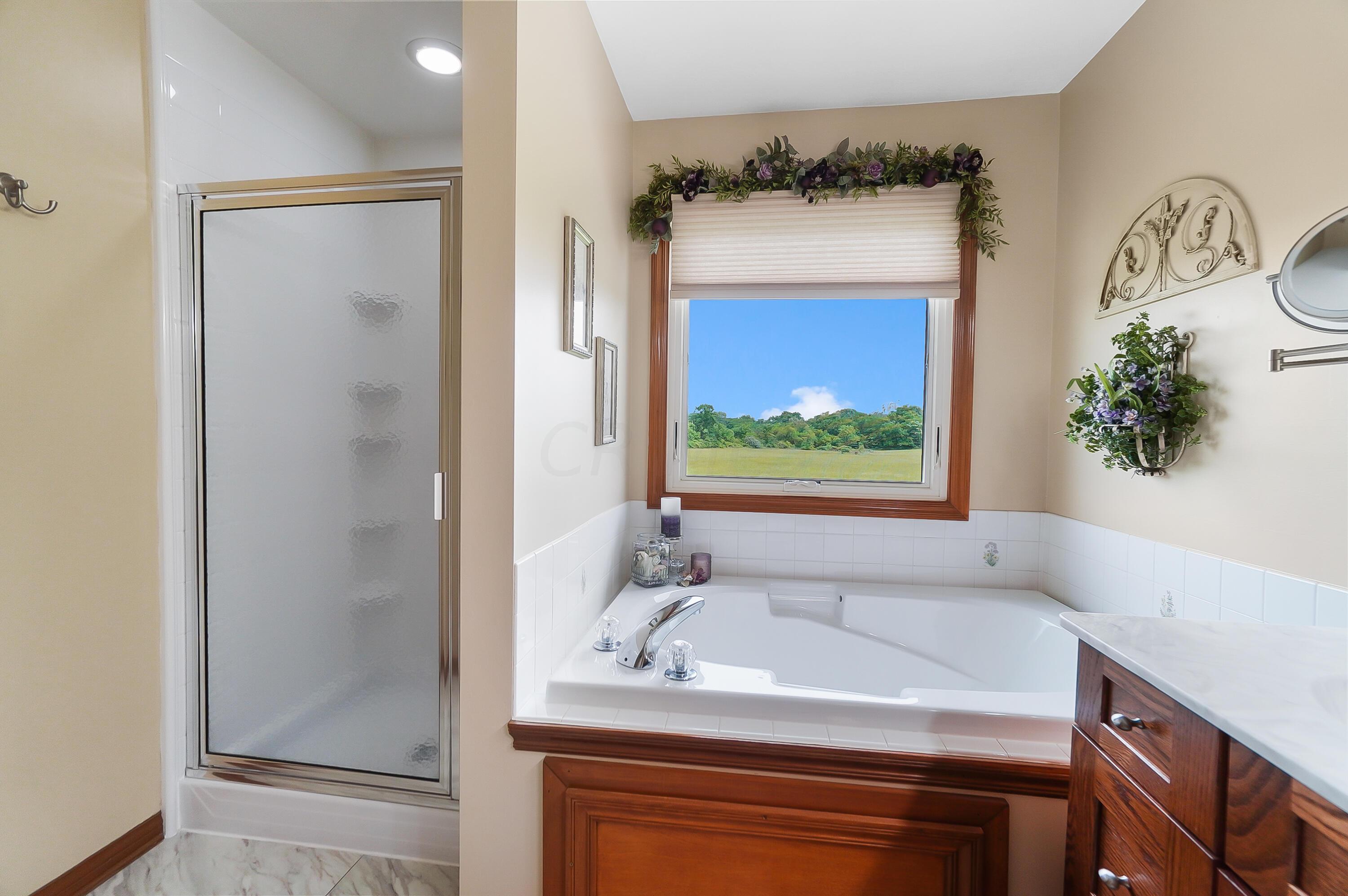 25060 East Liberty Road Raymond, OH 43067 - Photo 49 of 103 0238