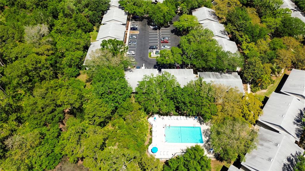 32 Navarra Court St. Augustine, FL 32086 - Photo 43 of 50