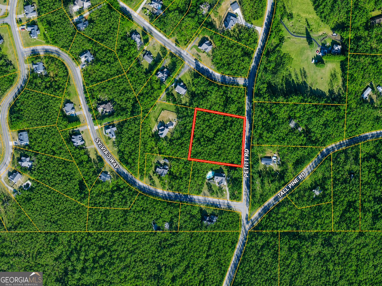 2-acres Pettit Road Jasper, GA 30143 - Photo 5 of 8