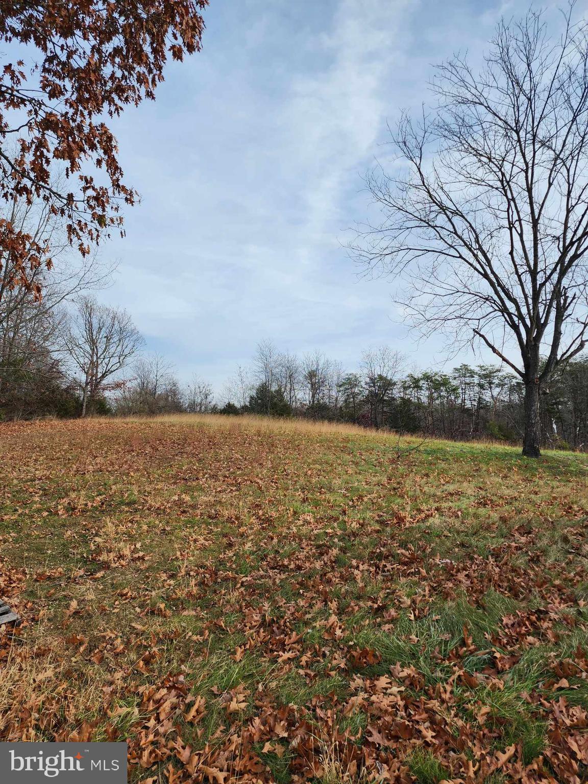 Lilac Winchester, VA 22602 - Photo 2 of 4