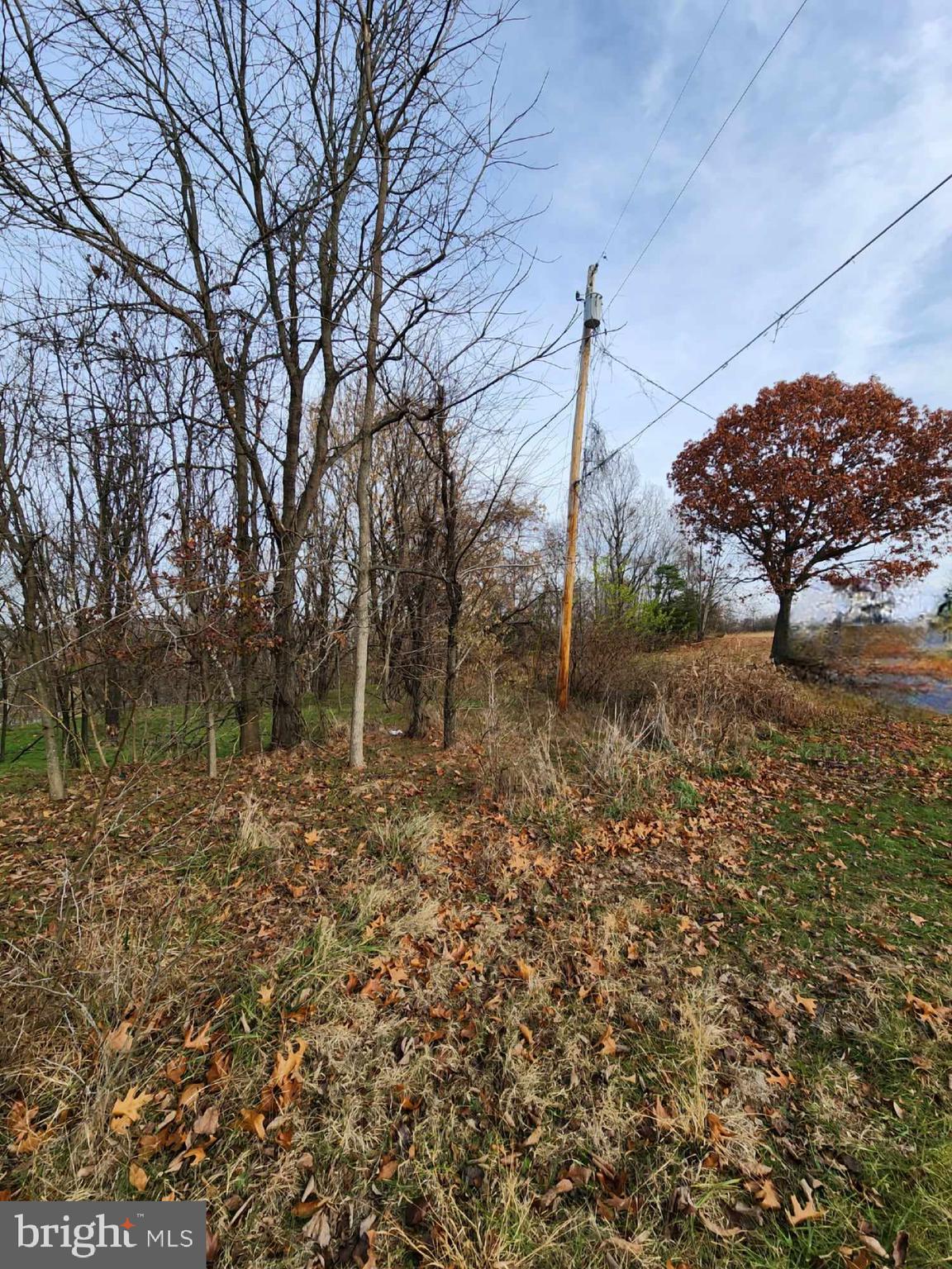 Lilac Winchester, VA 22602 - Photo 3 of 4