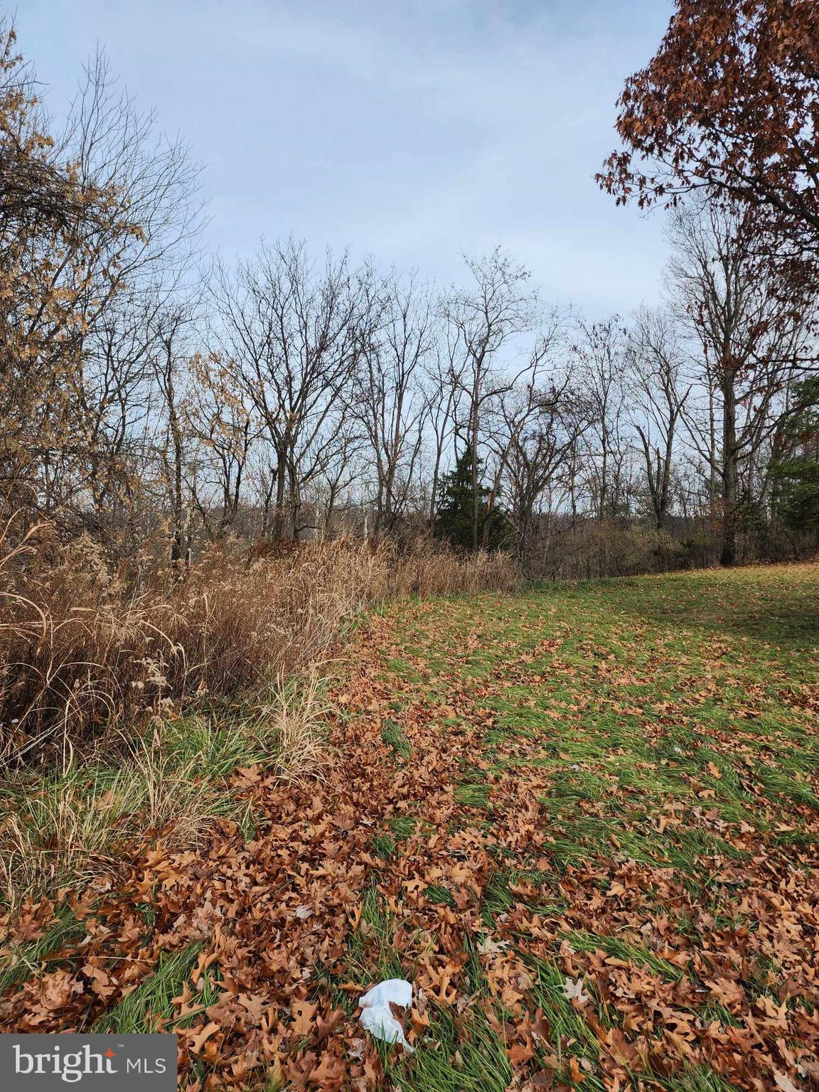 Lilac Winchester, VA 22602 - Photo 4 of 4